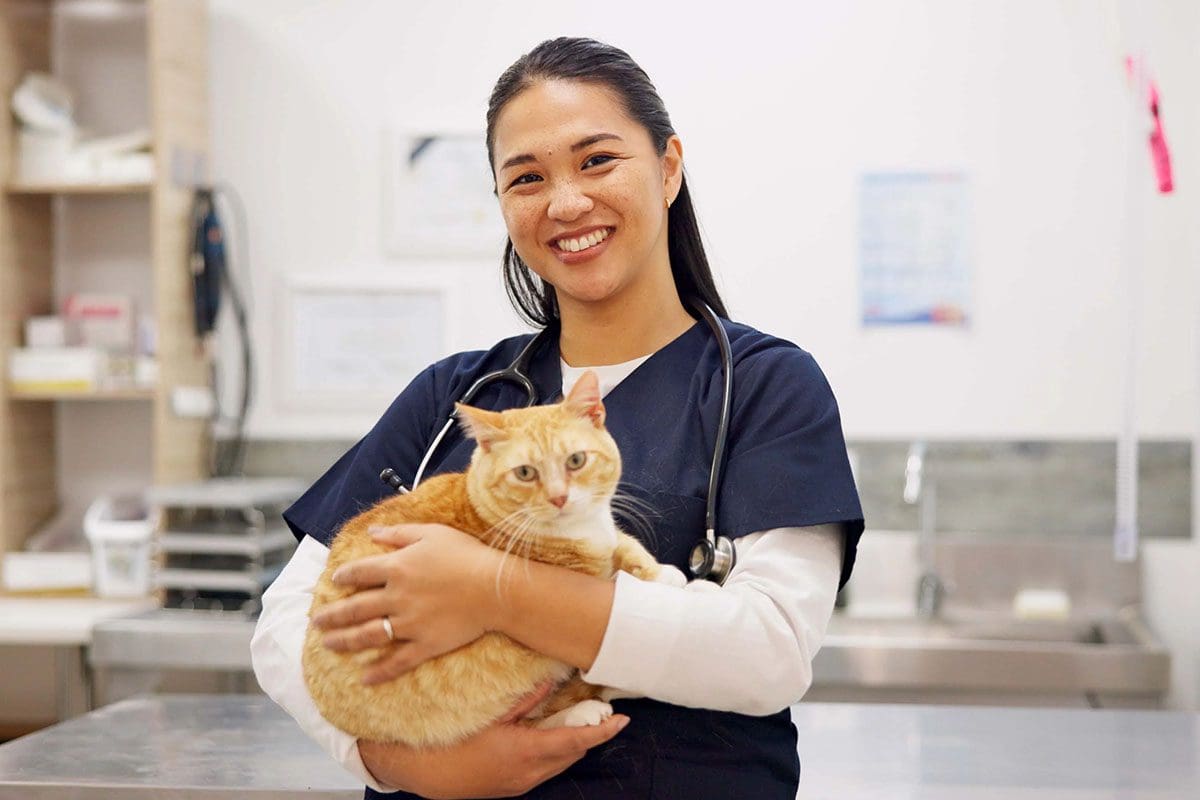 Veterinarian in navy scrubs with ginger cat