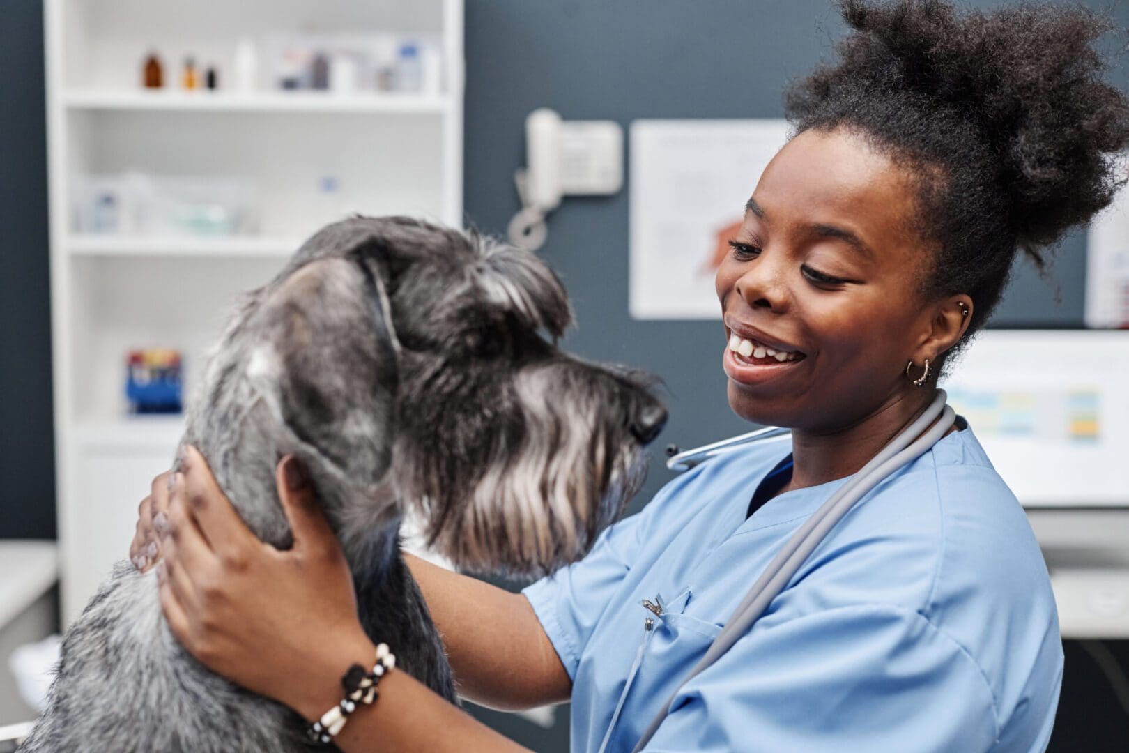 Placement | Veterinary Career Placement by Distinct Vet