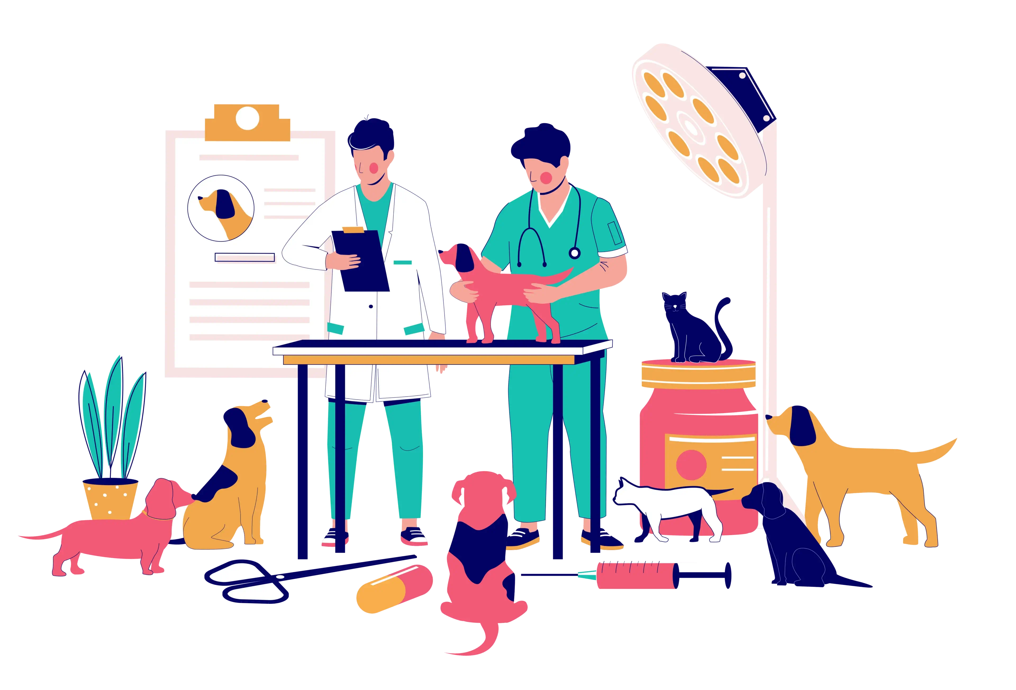 Veterinarians examining pets in a clinic.