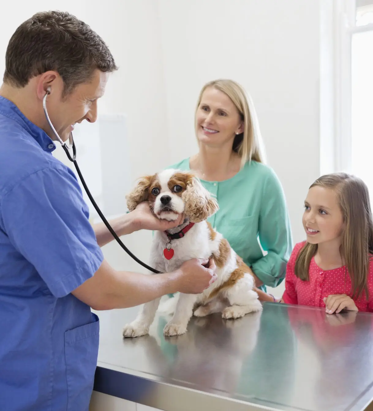Veterinarian examining dog with family present.